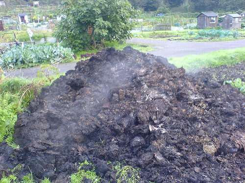 A huge, steaming pile of shit, apropos of nothing