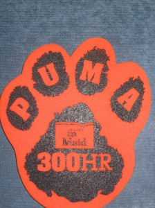 Puma Paw